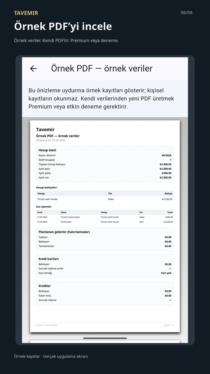 Tavemir Türkçe rapor ekranı: Free örnek raporunun sunum panosu